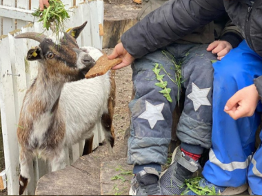 Børn fordrer en ged